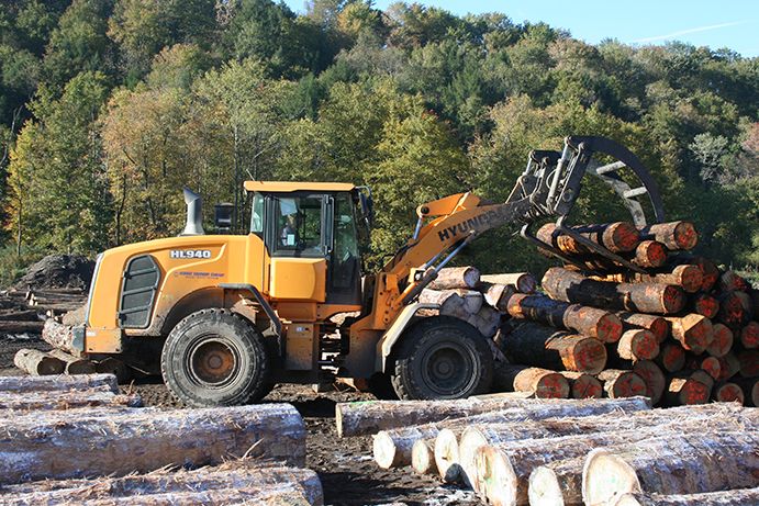 Matson Lumber Uses Onboard Weigh System